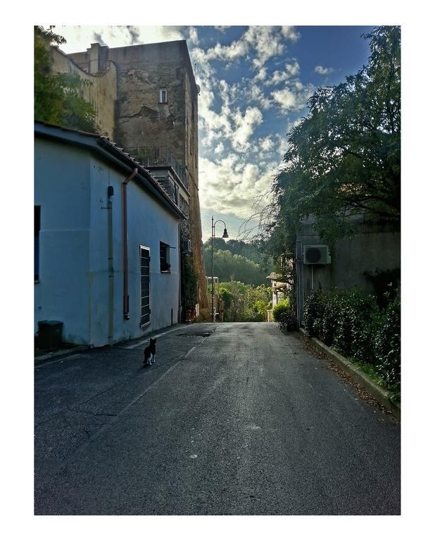 Ferienwohnung Il Rosciolo Sulla Francigena Formello Exterior foto